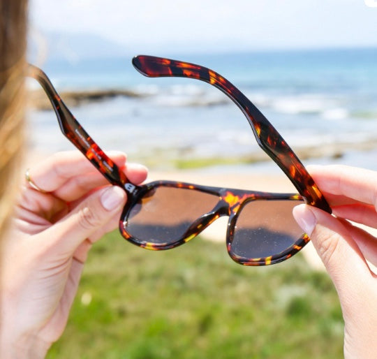 Polarised Lenses Vs Non Polarized: Explained