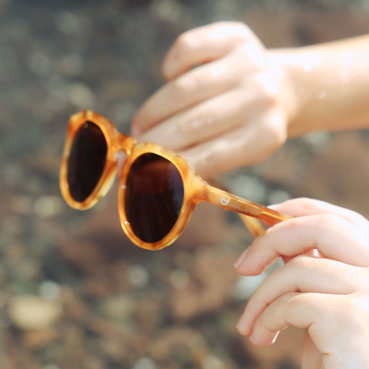 Freshie Crab Polarised Sunglasses by Ozeano