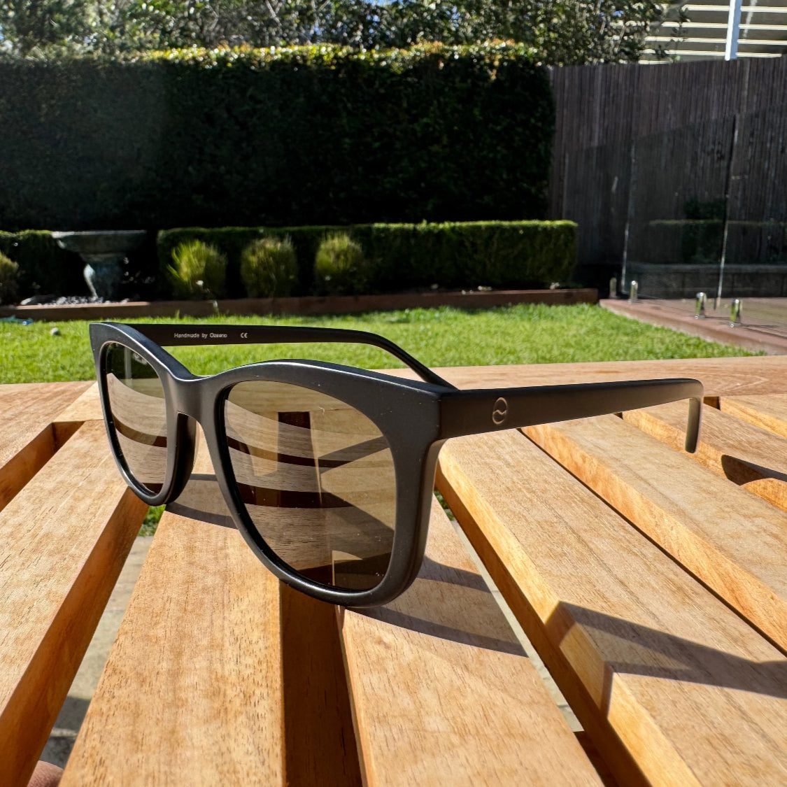 Tama Shark Polarised Sunglasses